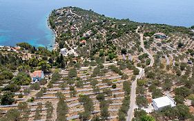 B&B Vela Luka